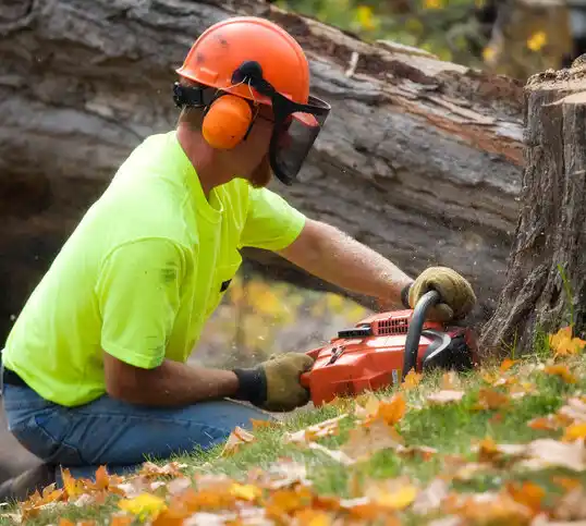 tree services Oneida